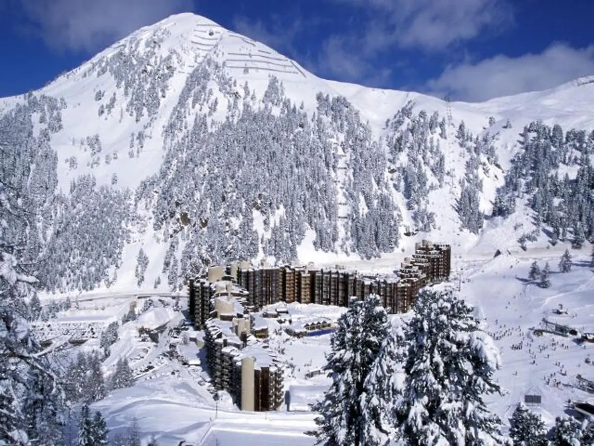 Appartement Studio Cosy Pour 2 - Balcon - Proche Pistes Et Commerces - Animaux Admis - Fr-1-181-2234 La Plagne-Tarentaise